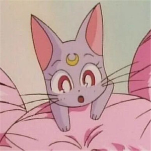 骚宝老中医spa养生馆是剧本吗
